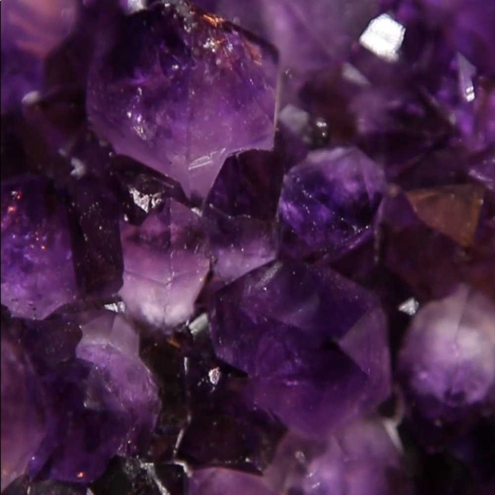 Meet your Posher, Kyleigh